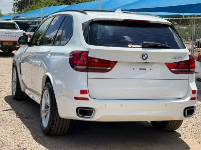Picture of 18.6' Falcon ASX on Trailer 2024